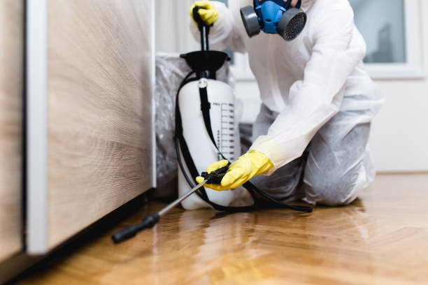 Best Bed Bug Extermination  in Siesta Acres, TX
