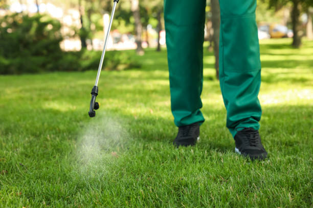 Trusted Siesta Acres, TX Pest Control Experts