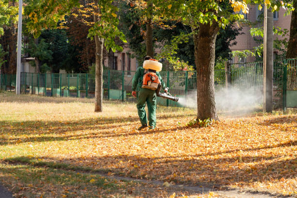 Best Commercial Pest Control Services  in Siesta Acres, TX